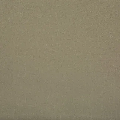 Optima-Stucco