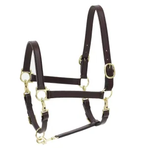 Ovation 4-Way Leather Grooming Halter