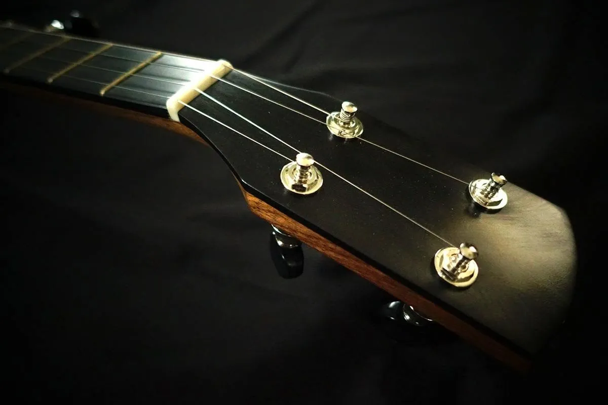 Pisgah Walnut Rambler Dobson A-Scale Banjo with Antique Brass Hardware