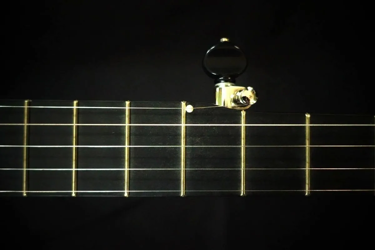 Pisgah Walnut Rambler Dobson A-Scale Banjo with Antique Brass Hardware