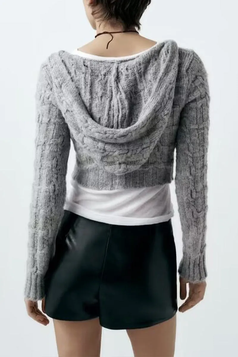 PL0303 Vegan Leather Shorts