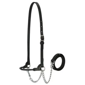 Refined Show halter Single Buckle - Black
