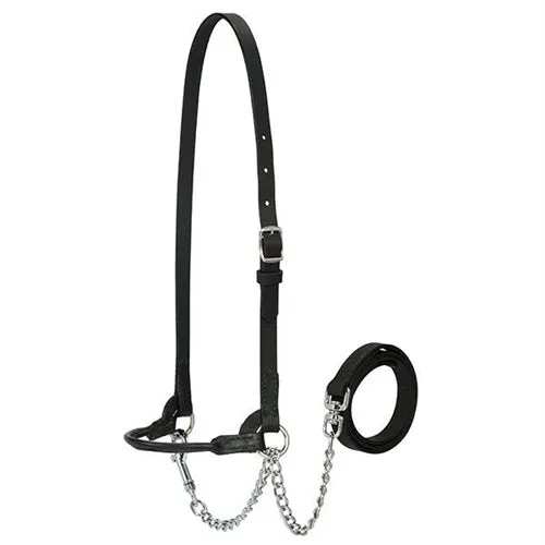 Refined Show halter Single Buckle - Black