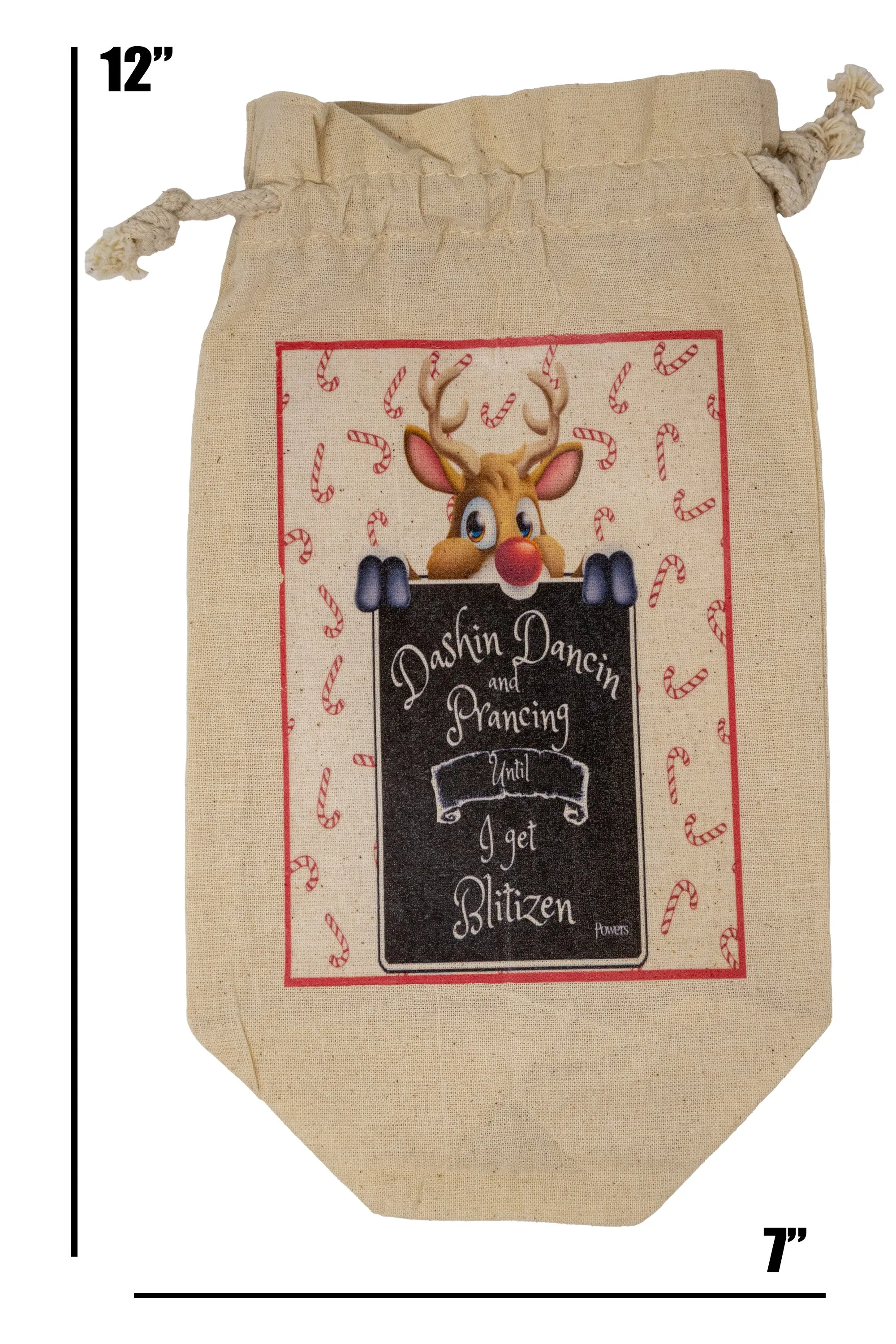 Reindeer Themed Funny Gift Bag for Liquor, Whiskey and Wine Bottles