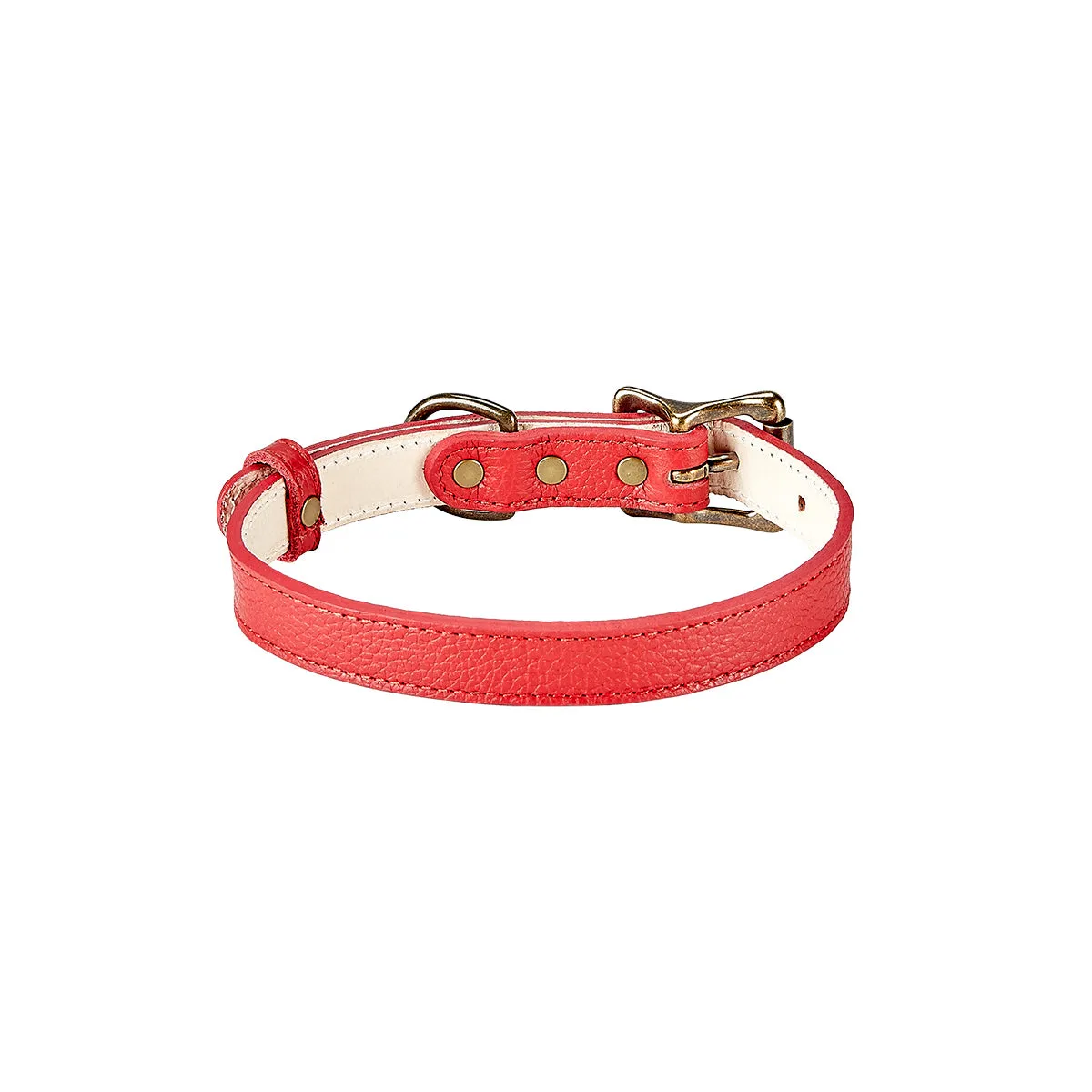 Small Dog Collar