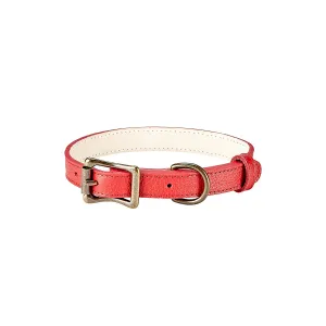 Small Dog Collar