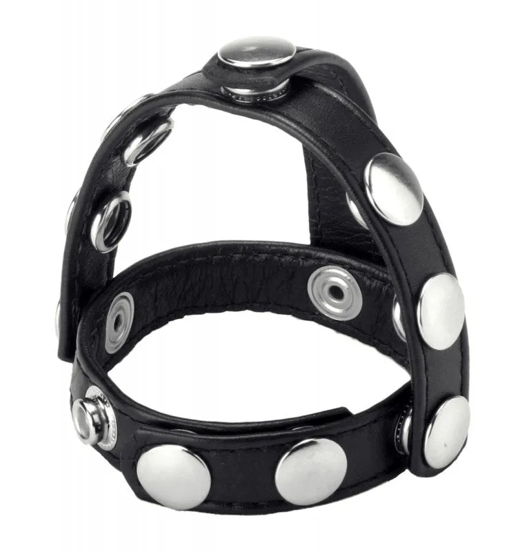 Snap- on  & Ball Harness