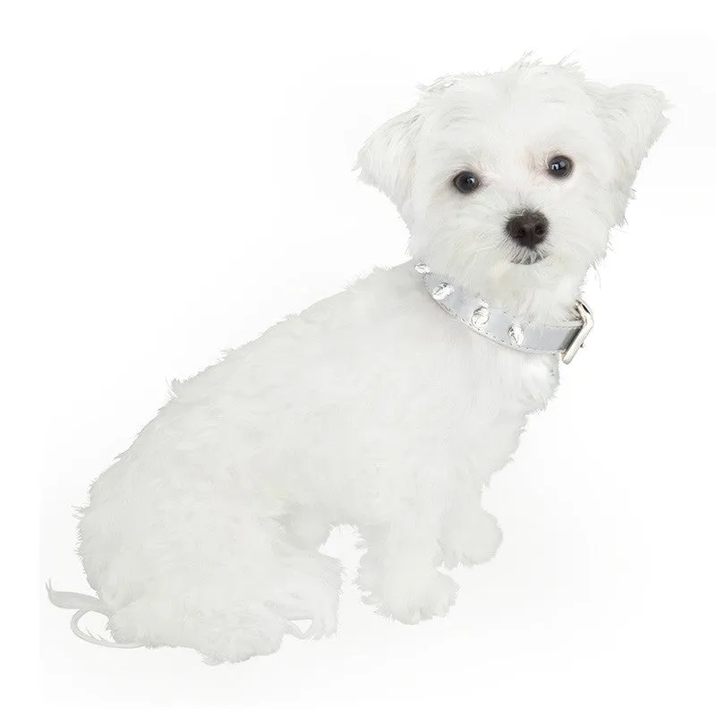 Spike Dog Collar