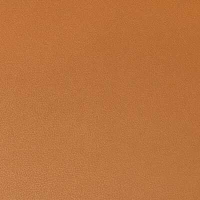Syrus-Cognac