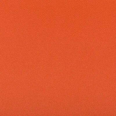 Syrus-Mandarin