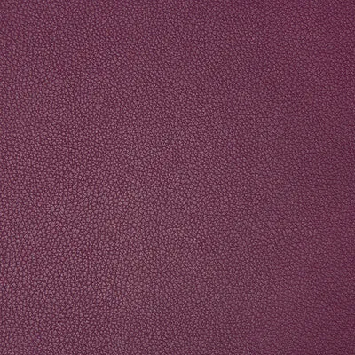 Syrus-Mulberry