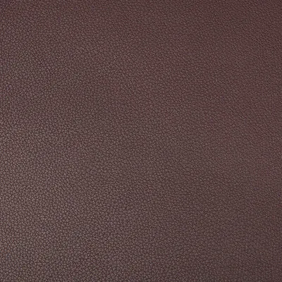 Syrus-Plum