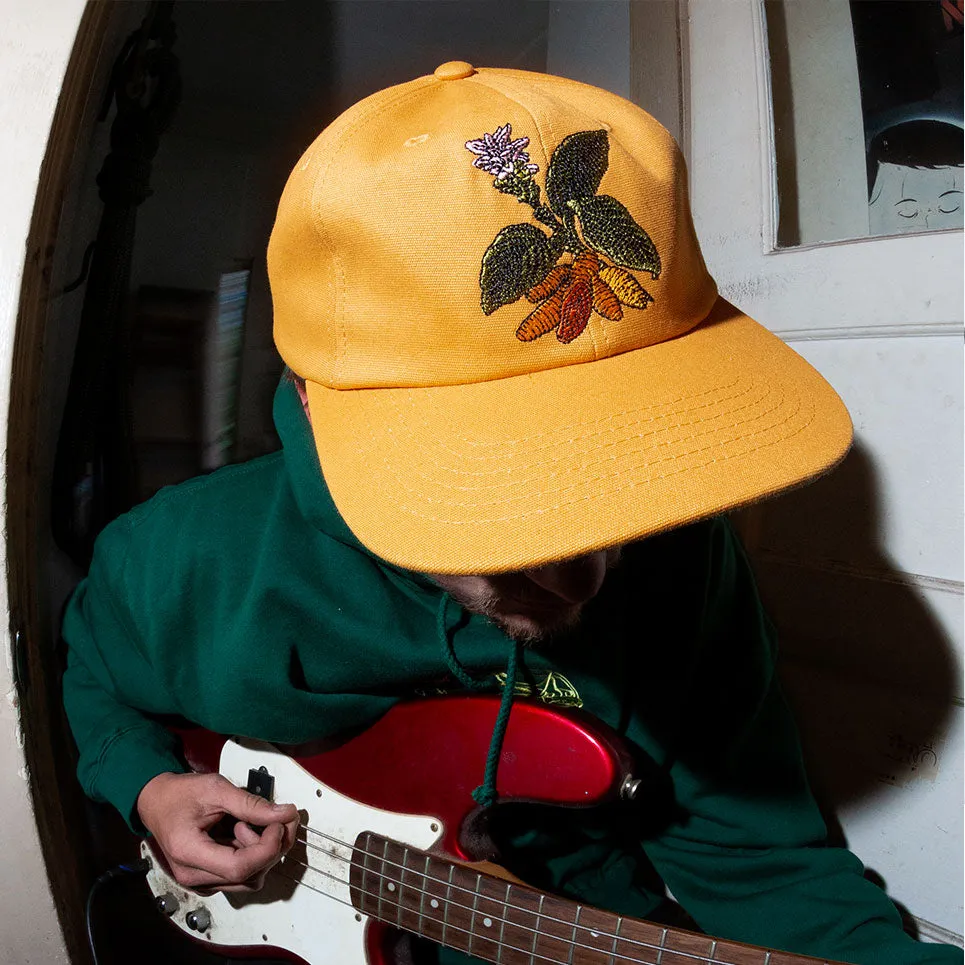 TURMERIC HAT