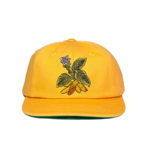 TURMERIC HAT