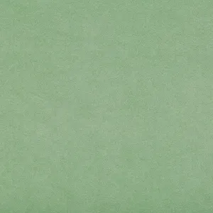 Ultrasuede Green-Sprig
