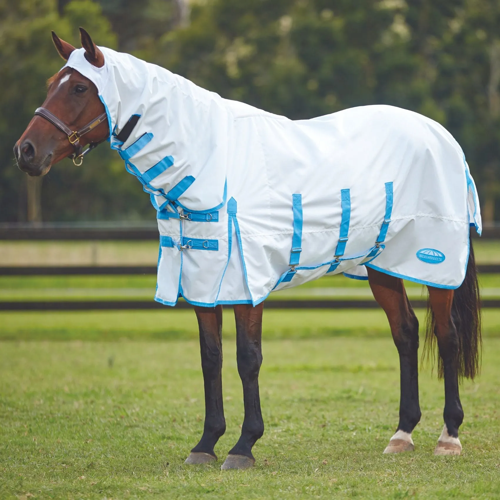 Weatherbeeta ComFiTec Sweet Itch Shield Combo White/Blue
