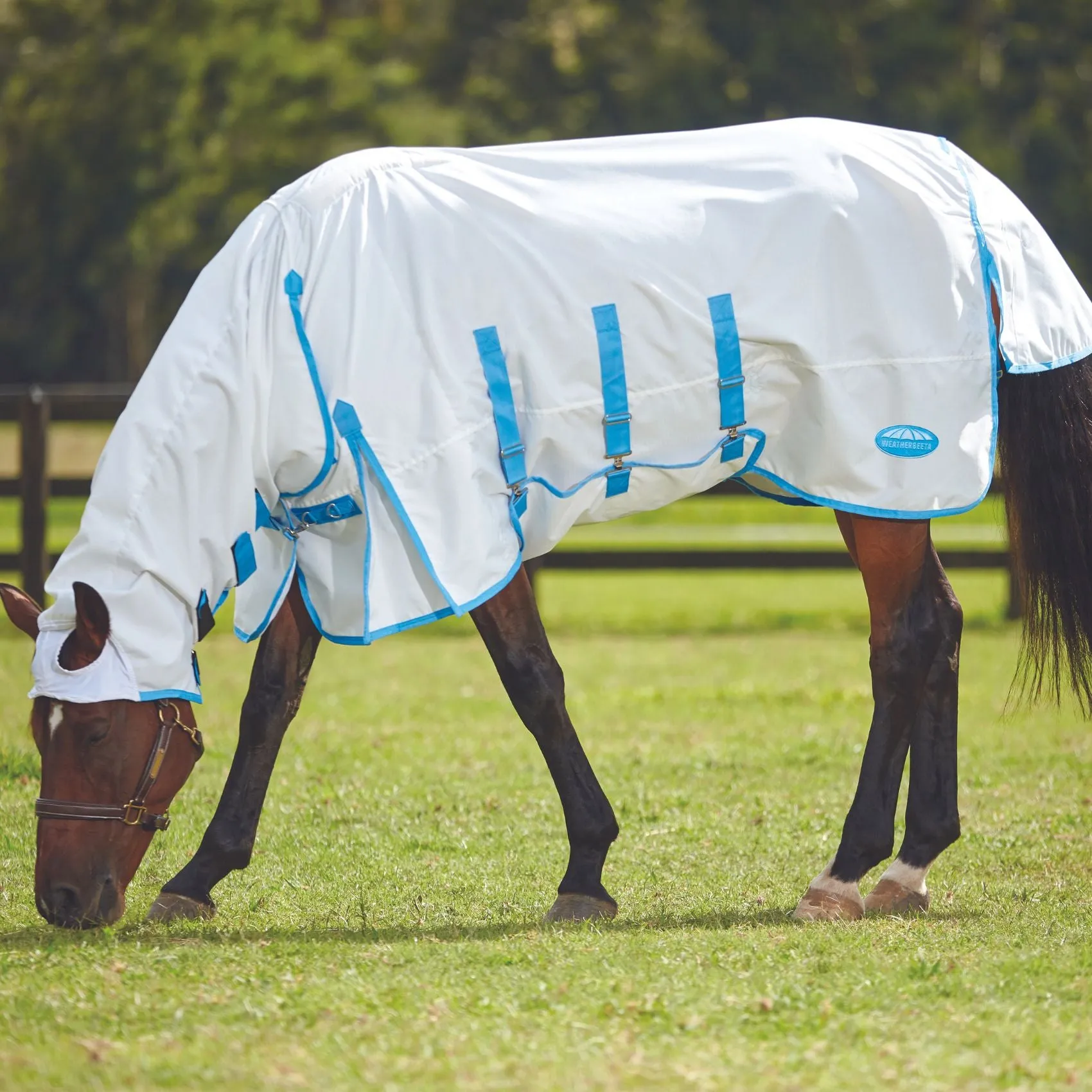 Weatherbeeta ComFiTec Sweet Itch Shield Combo White/Blue